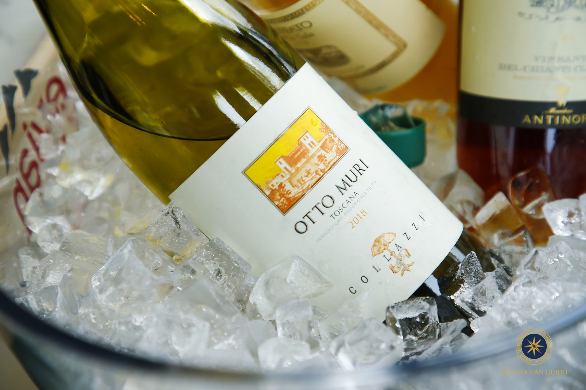Fiano—意大利本土品种的新秀！